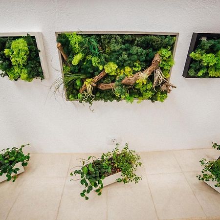 Cerdac Cotesti Golestii de Sus Exterior foto
